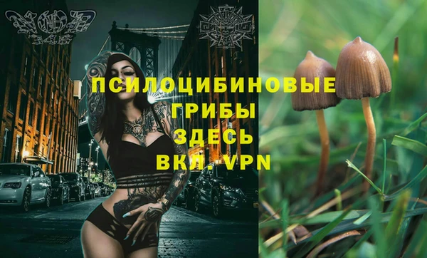 скорость mdpv Вяземский