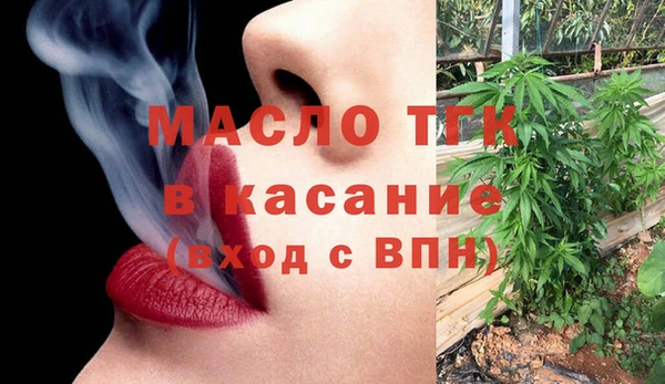 прущие крисы Горняк