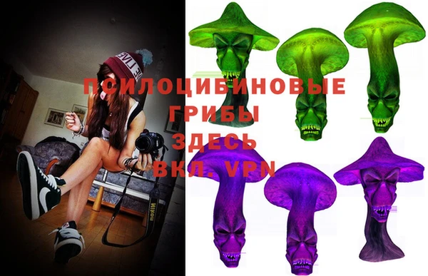 MESCALINE Гусев