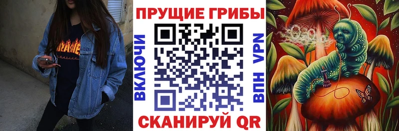 купить   blacksprut tor  Псилоцибиновые грибы GOLDEN TEACHER  Дубна 