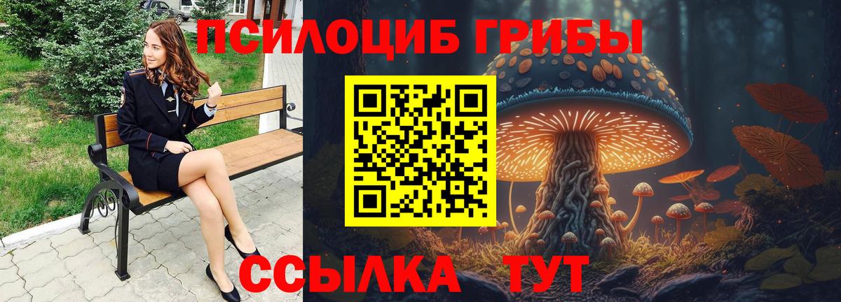 Галлюциногенные грибы мицелий Дубна